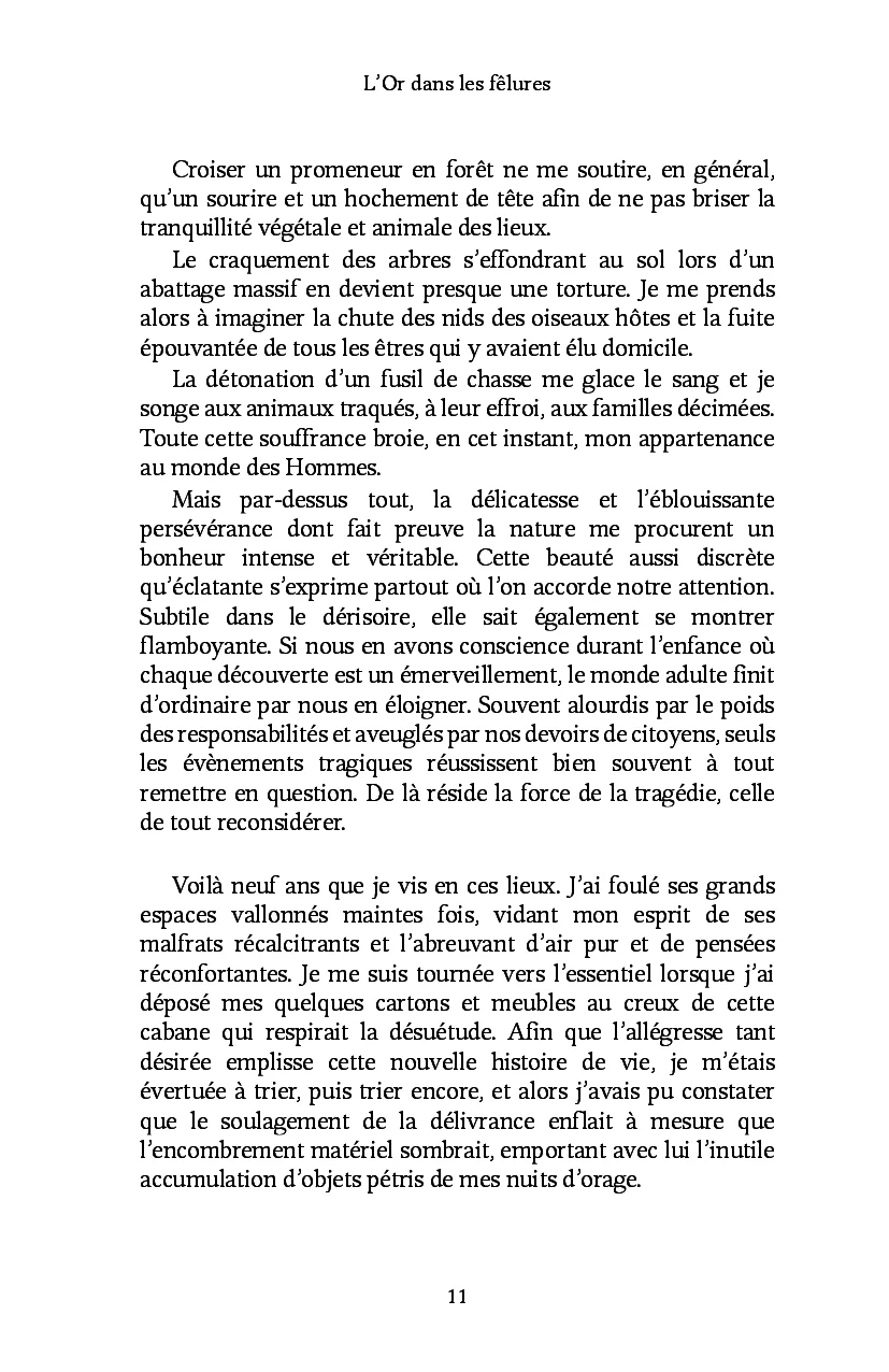 L'Or dans les fêlures - Image 8