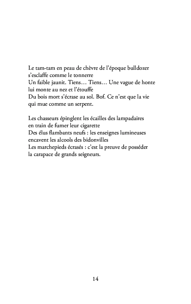 La rumba ensorcelée - Image 10