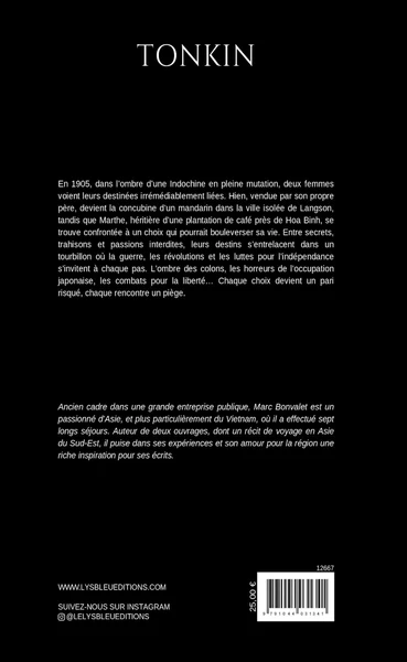 Tonkin - Image 2