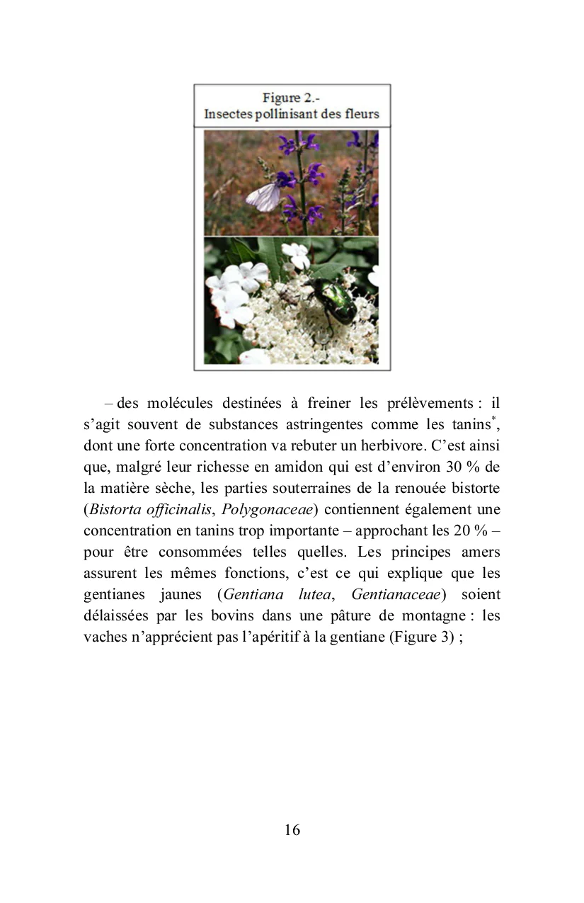 Des plantes alimentaires, médicinales, toxiques, aux compléments alimentaires - Image 12