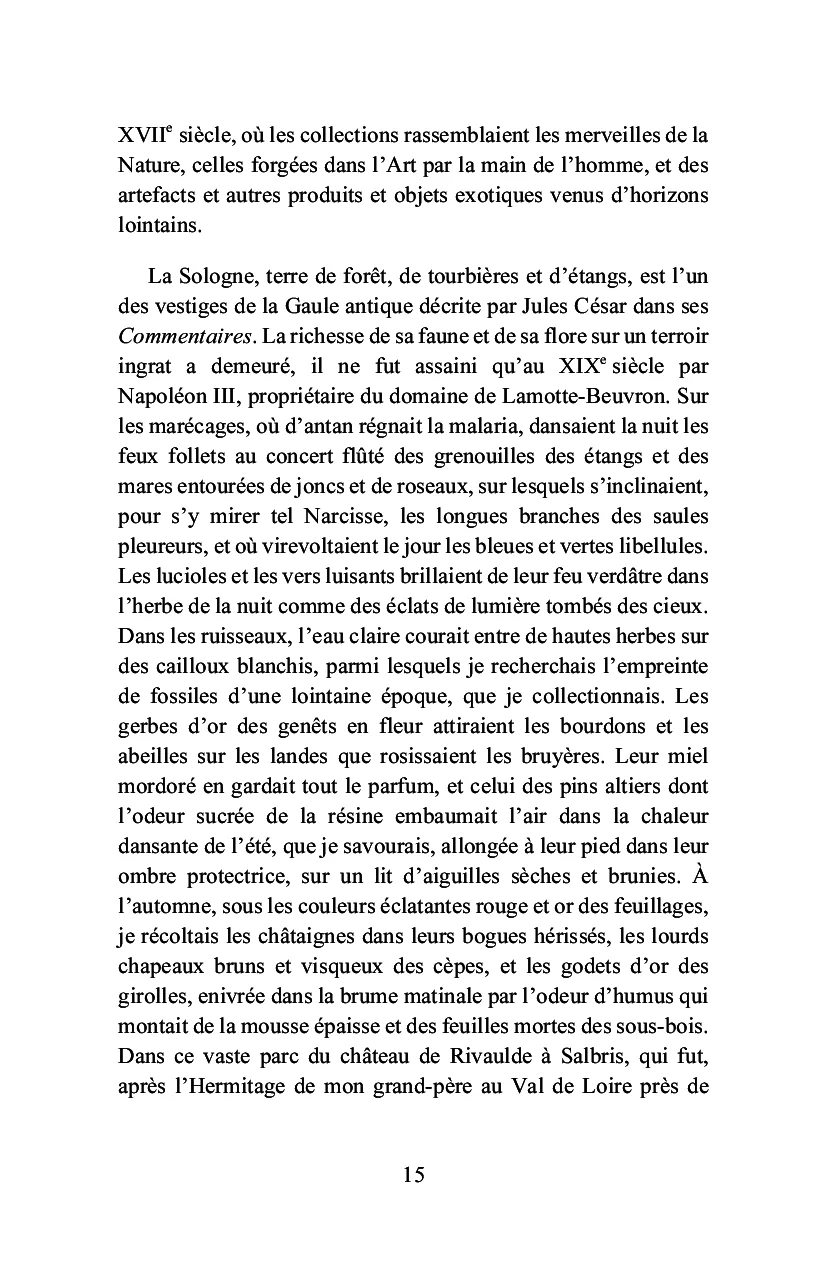Bois-le-Roi à la lisière de la forêt - Image 11