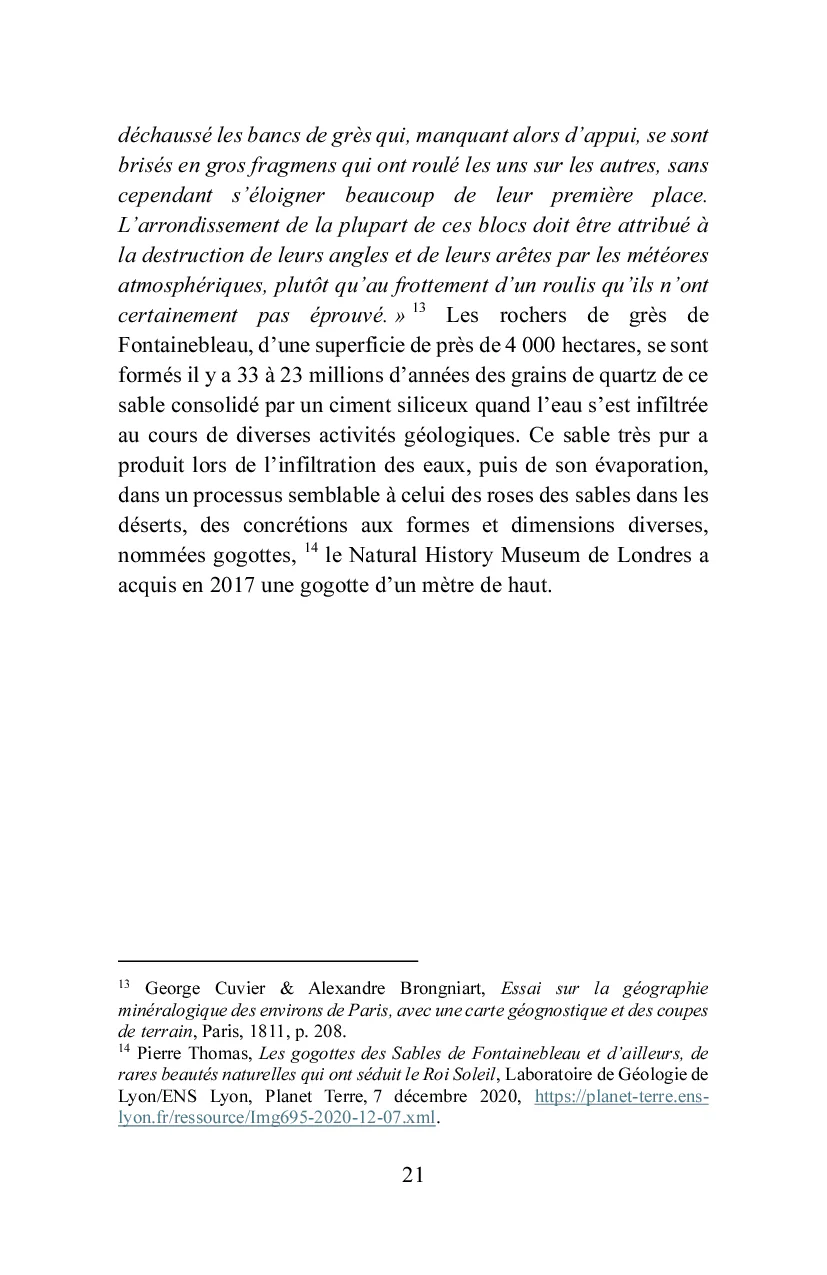 Bois-le-Roi à la lisière de la forêt - Image 17