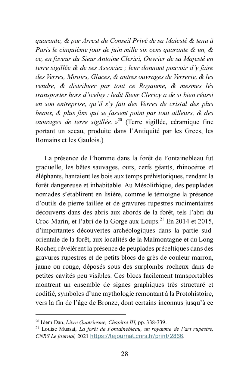 Bois-le-Roi à la lisière de la forêt - Image 24