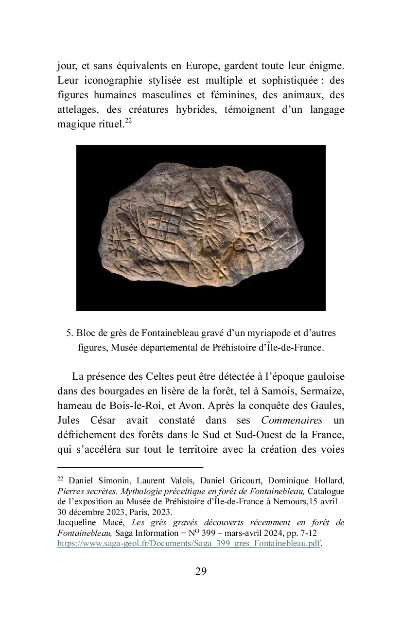 Bois-le-Roi à la lisière de la forêt - Image 25
