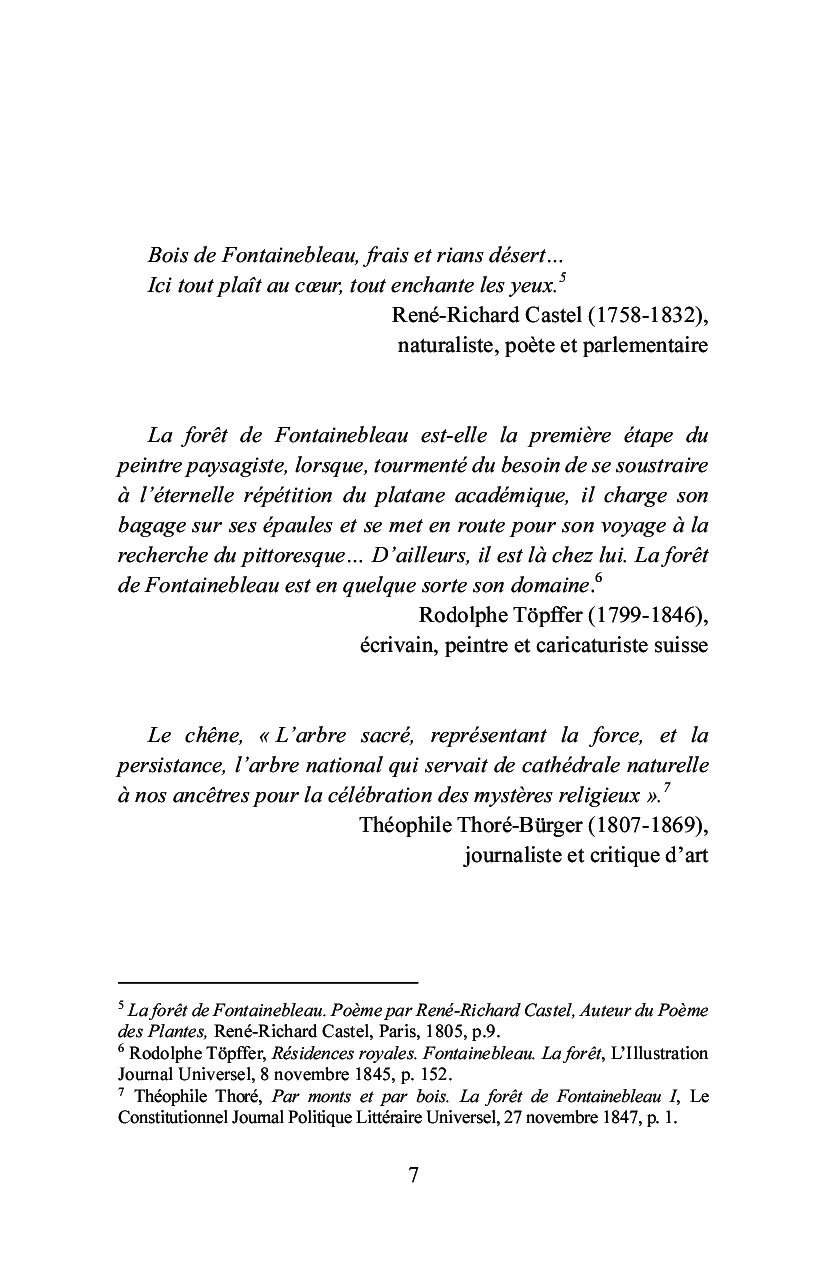 Bois-le-Roi à la lisière de la forêt - Image 3
