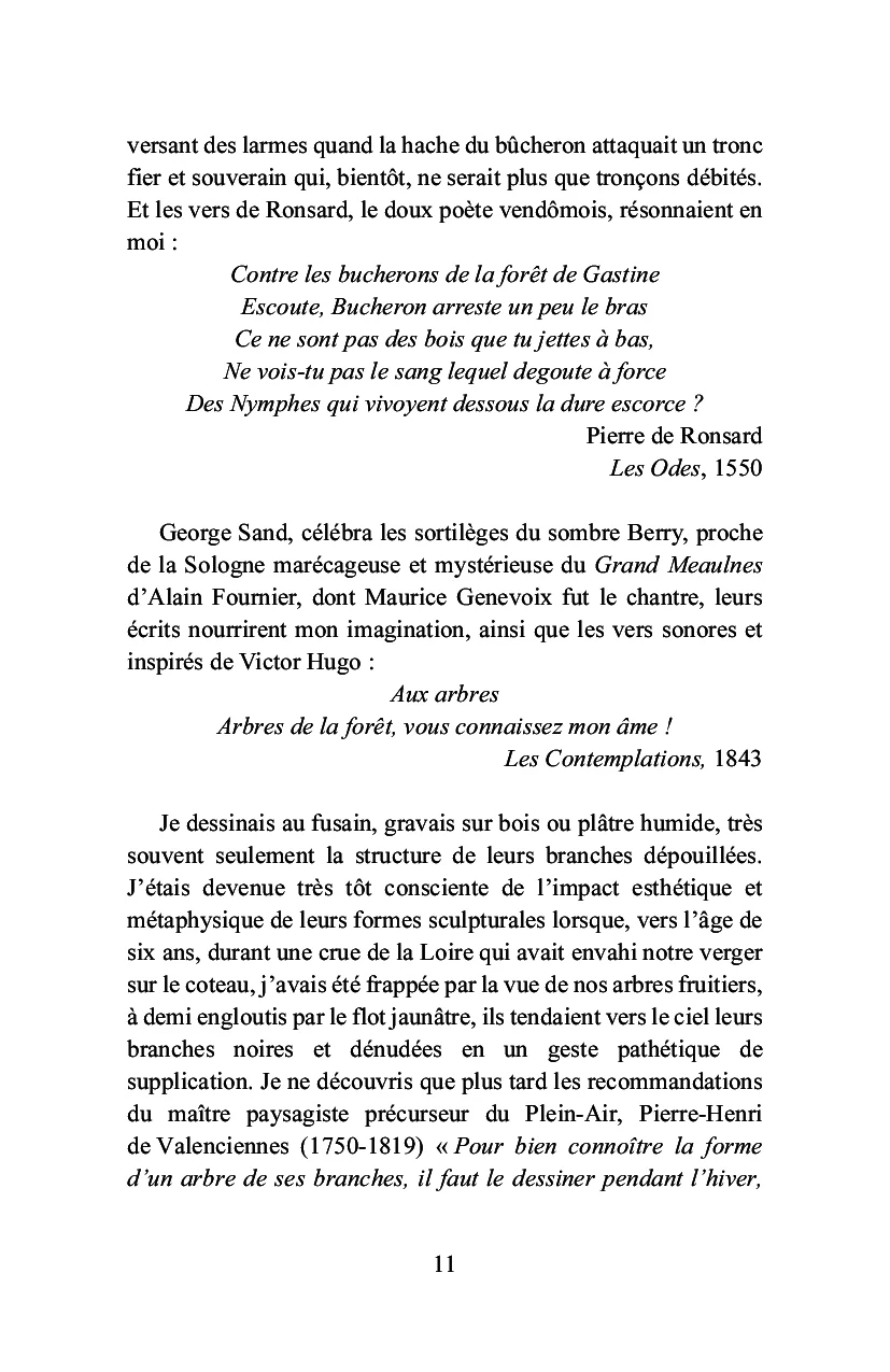 Bois-le-Roi à la lisière de la forêt - Image 34