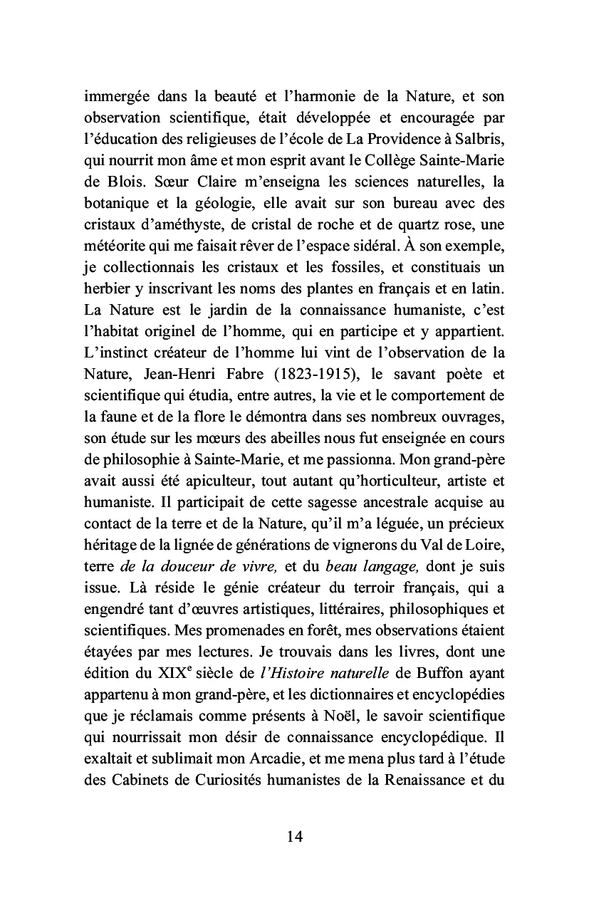 Bois-le-Roi à la lisière de la forêt - Image 37
