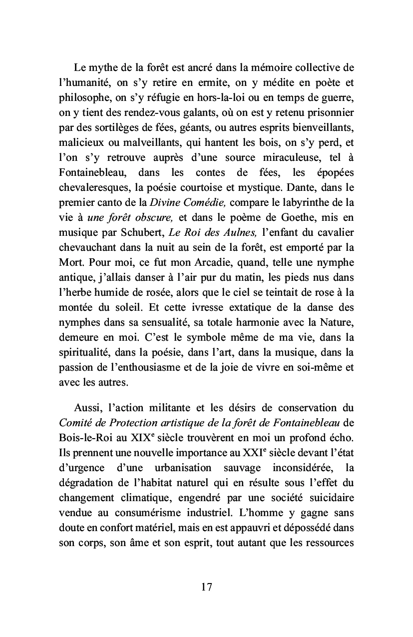 Bois-le-Roi à la lisière de la forêt - Image 40