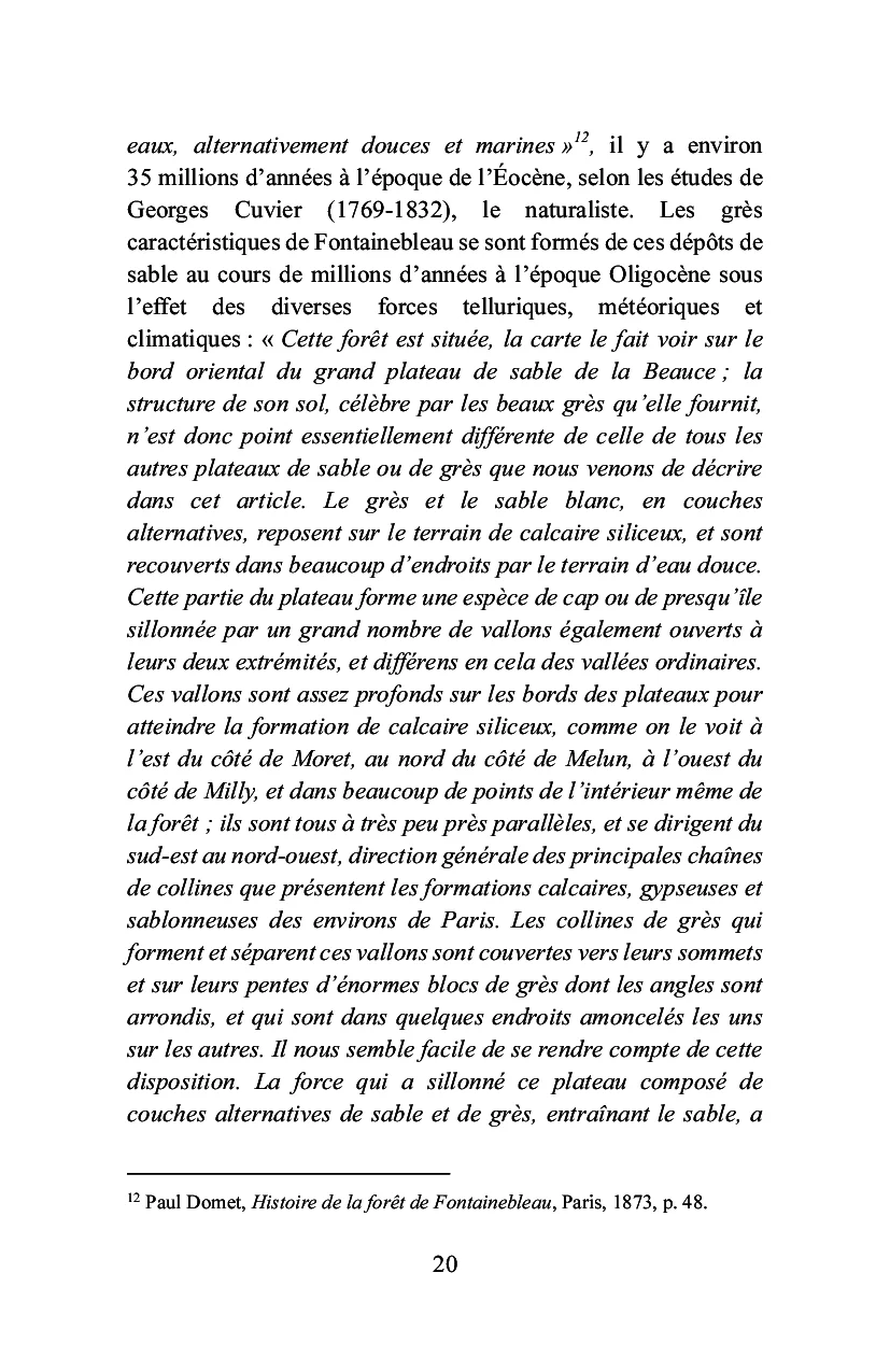 Bois-le-Roi à la lisière de la forêt - Image 43