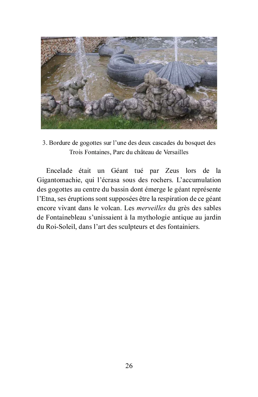 Bois-le-Roi à la lisière de la forêt - Image 49