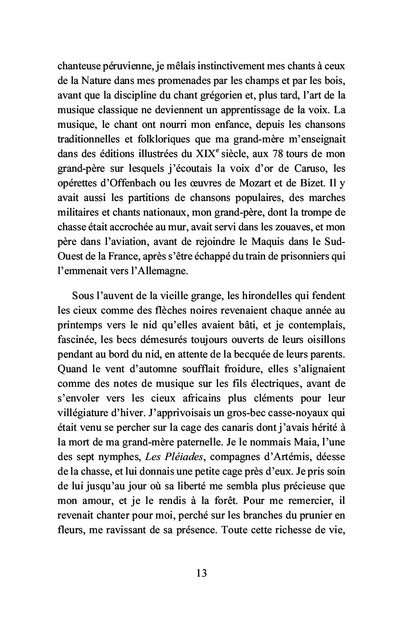 Bois-le-Roi à la lisière de la forêt - Image 9