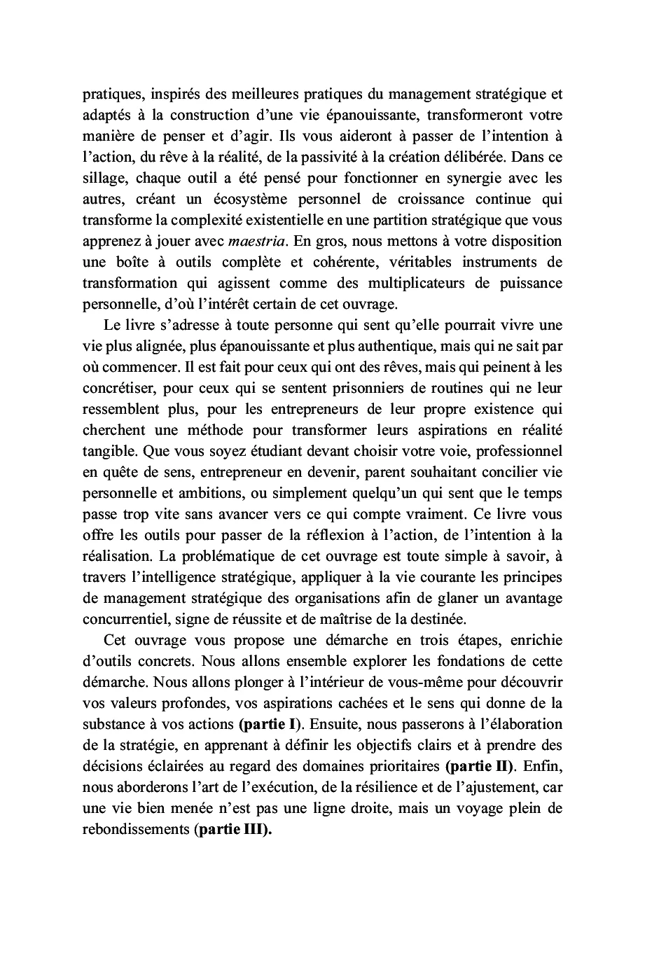L'art de formuler sa stratégie de vie gagnante - Image 30