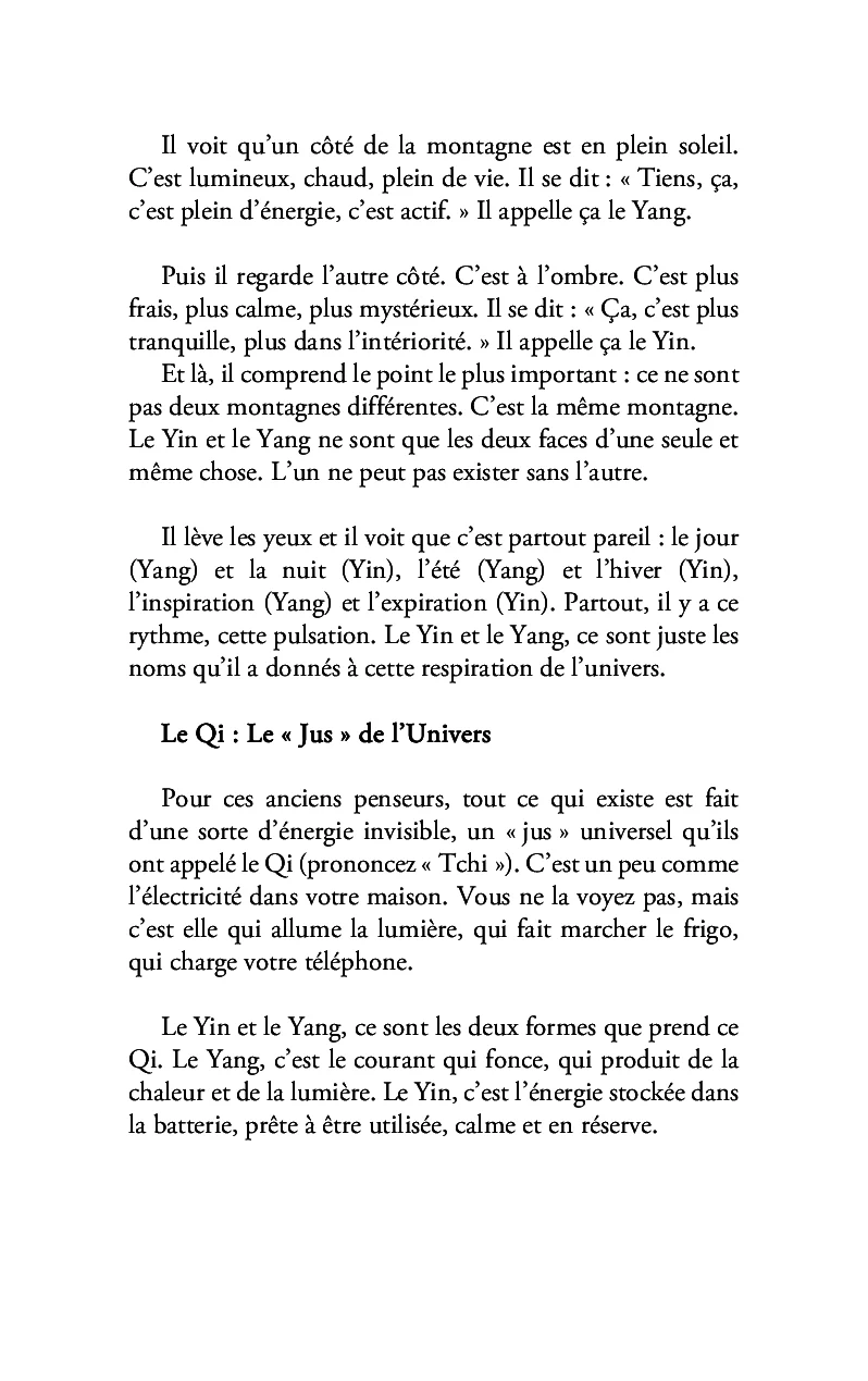 Yin Yang: Quel est votre profil ? De la dualité à l'unité - Image 10