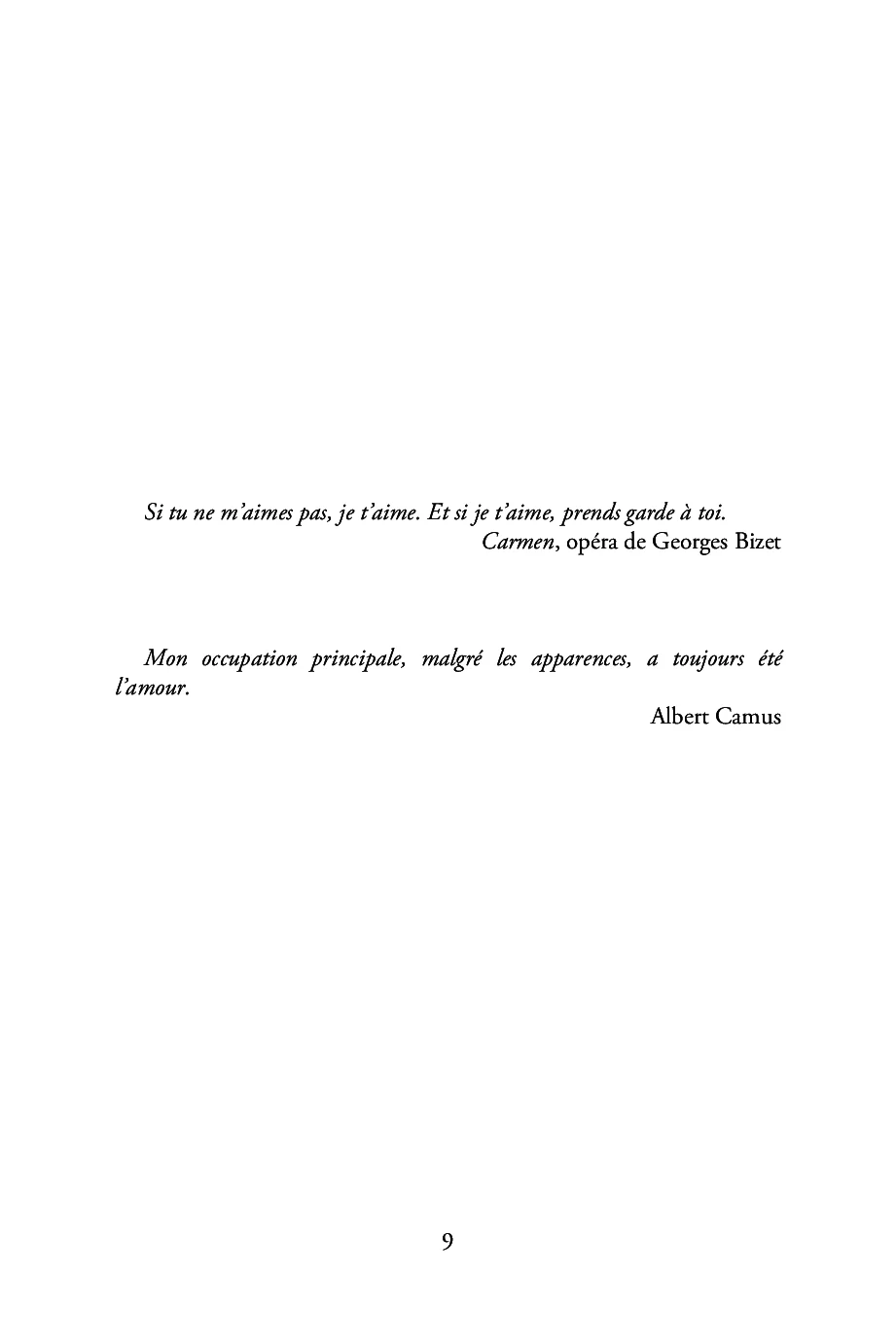 Les oiseaux volent par deux - Image 5