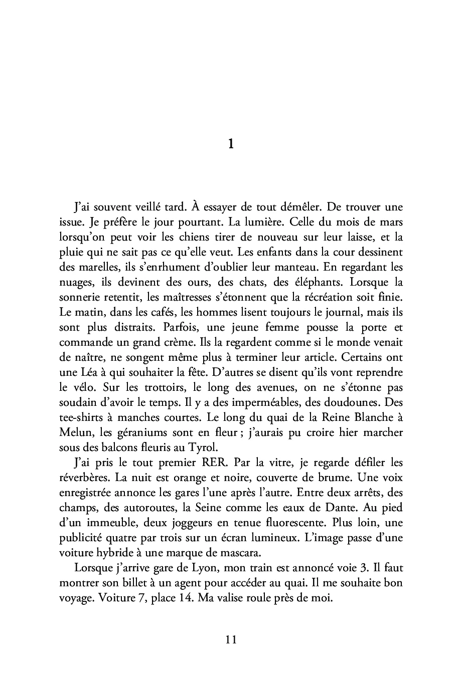 Les oiseaux volent par deux - Image 7