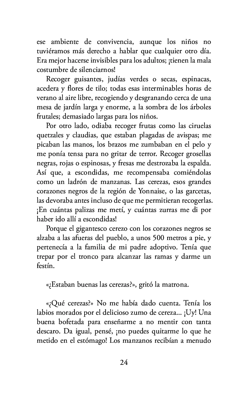 Caminando sobre las brasas de mi existencia - Image 17