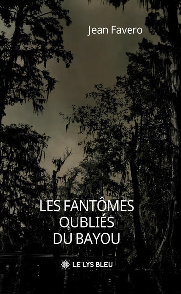 Les fantômes oubliés du bayou - Image 28