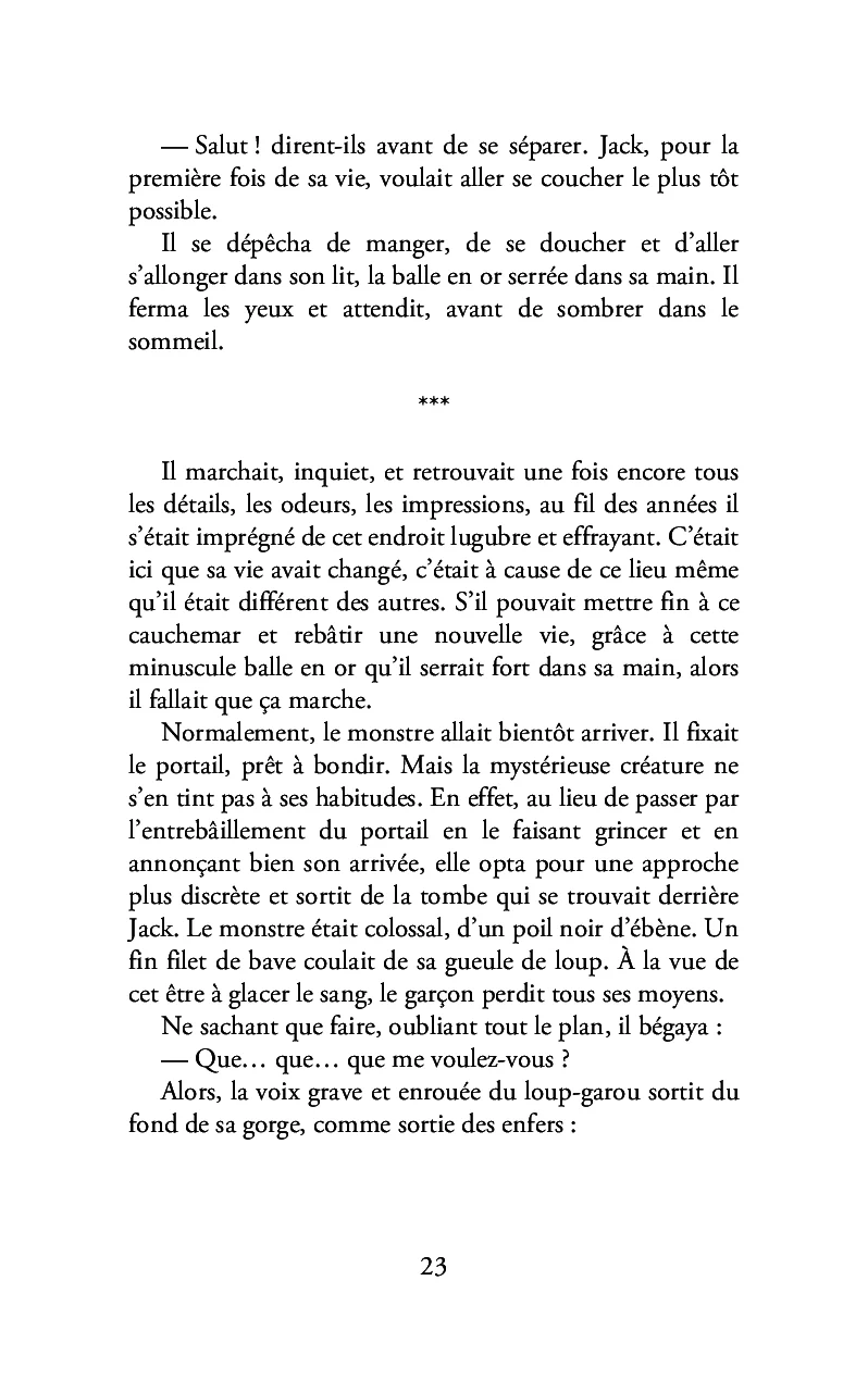 Le pays des monstres - Image 19