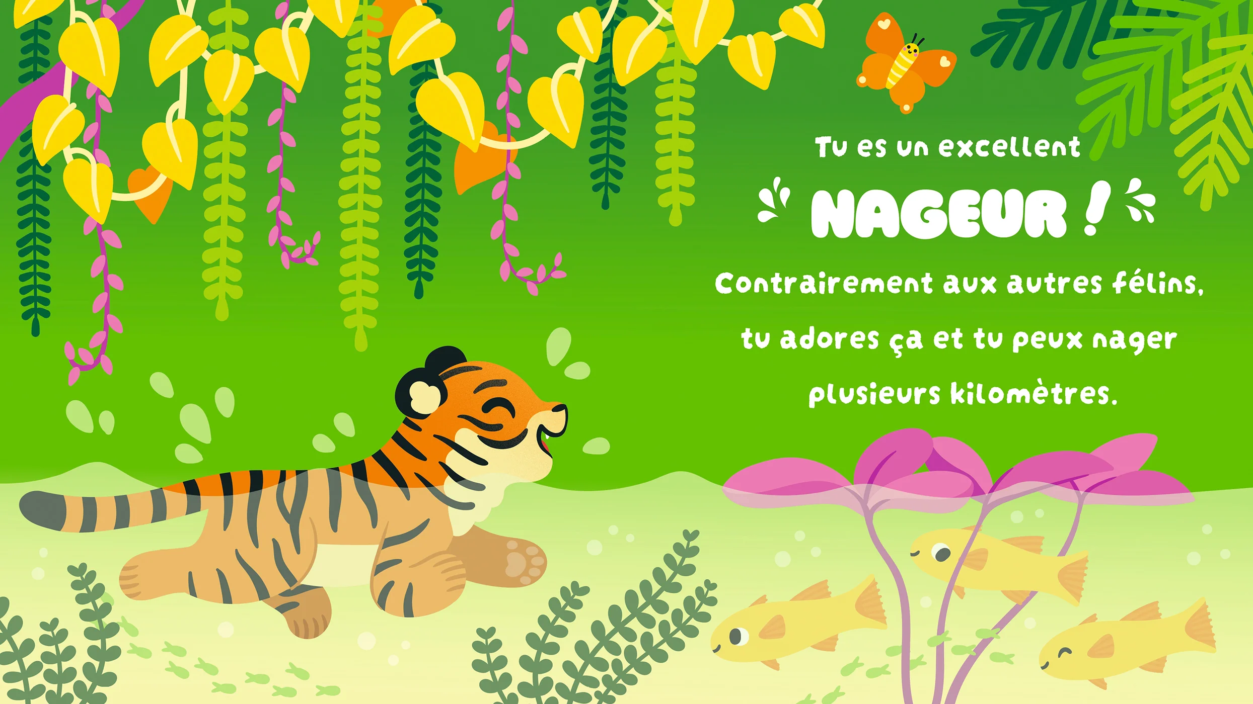 Mes tout doux - Petit tigre - Image 4